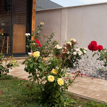 Casa Lucan Braşov Dış mekan fotoğraf