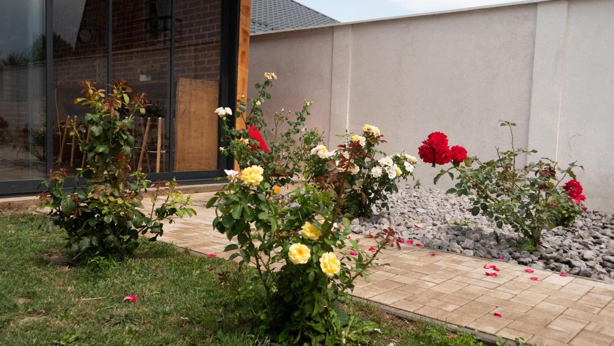 Casa Lucan Braşov Dış mekan fotoğraf